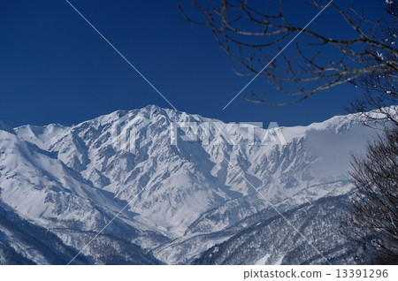 Shinshu Hakuba snow scene image Shinshu Hakuba snow scene image 13391296