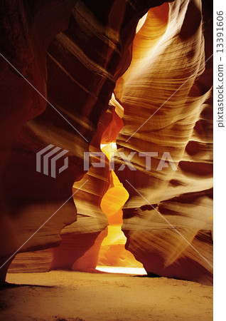 自然創造的藝術 13391606