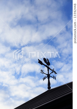 Weathercock 13392448