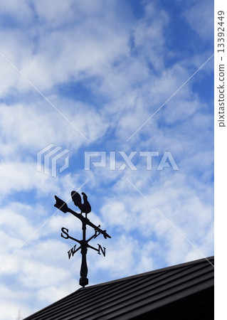 Weathercock 13392449