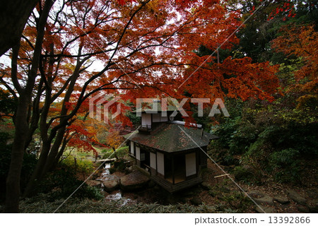 Yokohama Sankei Garden Hearing auction house Yokohama Sankei Garden Hearing auction house 13392866