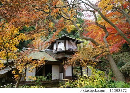 橫濱三溪花園聽力拍賣行 橫濱三溪花園聽力拍賣行 13392872