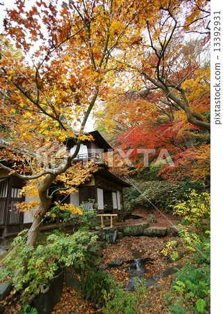 橫濱三溪花園聽力拍賣行 橫濱三溪花園聽力拍賣行 13392931