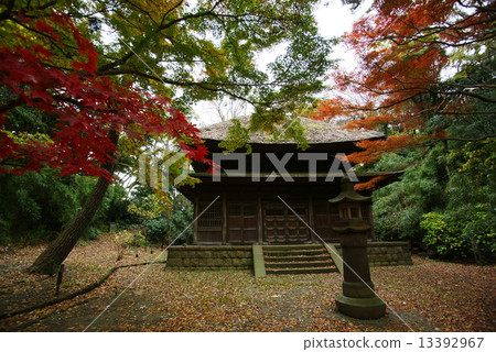 橫濱三溪花園前東景寺佛寺 橫濱三溪花園前東景寺佛寺 13392967