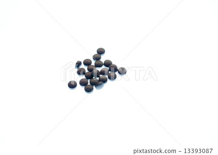 Supplement 13393087