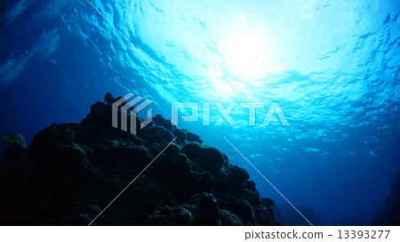 沖繩久米島的水下景觀 沖繩久米島的水下景觀 13393277