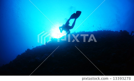 沖繩久米島的水下景觀 13393278