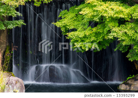 Kokoen Kokoen 13393299