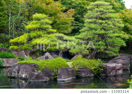 Koko-en公園 13393314