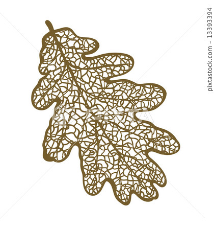 Vector oak leaf, isolated on white background  13393394