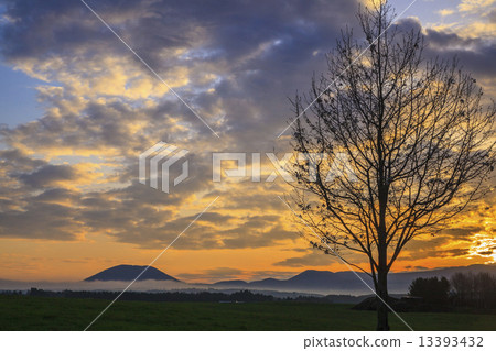 在Asagirikogen的日出 13393432