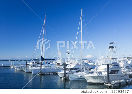 Fuji and marina 13393457