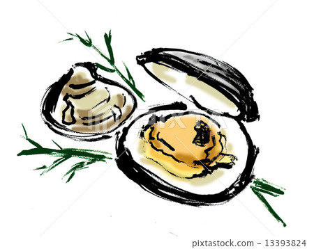 clam clam 13393824