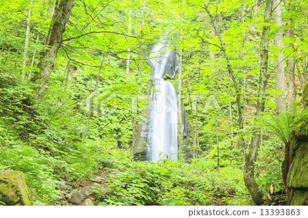 新鮮的綠色的Yunii瀑布 13393863