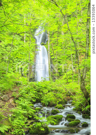 新鮮的綠色的Yunii瀑布 13393864