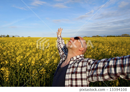 Male - free in the field 13394108