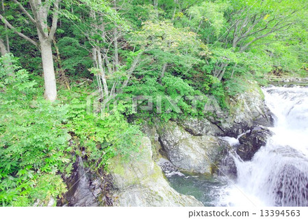 北海道的多南，一條美麗的早晨，從長江河瀑布的三崎河支流輕輕飄落 13394563