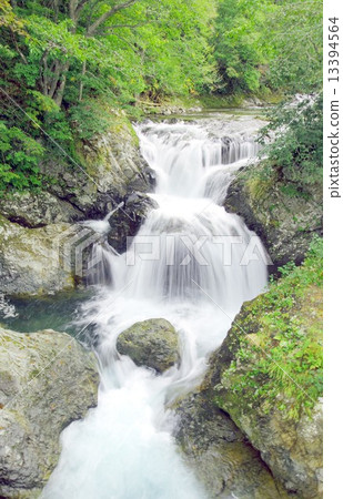 北海道的多南，一條美麗的早晨，從長江河瀑布的三崎河支流輕輕飄落 13394564