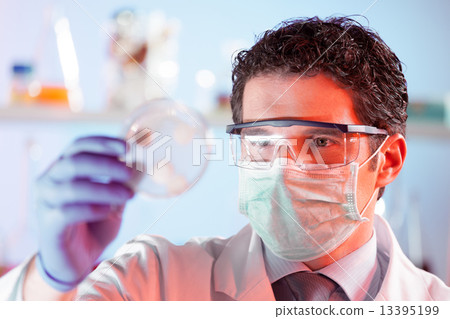 Scientist observing petri dish. Scientist observing petri dish. 13395199