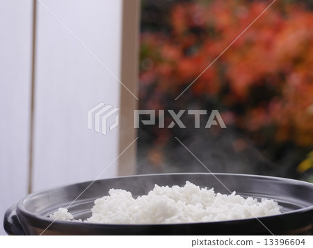 煮飯鍋 13396604