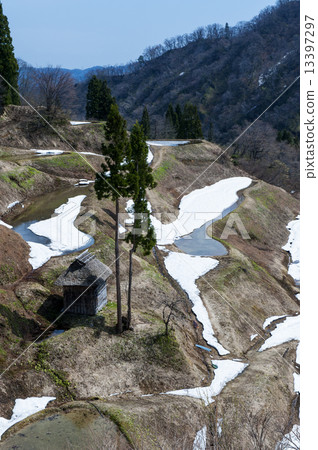 融雪水稻梯田 融雪水稻梯田 13397297