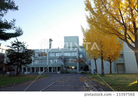 Autumn school yard 13397568