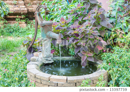 Old water well with water pump among colorful plants Old water well with water pump among colorful plants 13397739