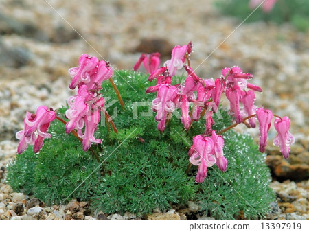 暨水壩包裹在水滴 暨水壩包裹在水滴 13397919