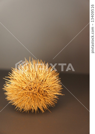 黑背景栗子 黑背景栗子 13409516