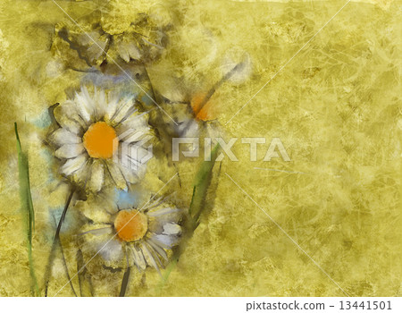 White daisies on grunge paper background White daisies on grunge paper background 13441501