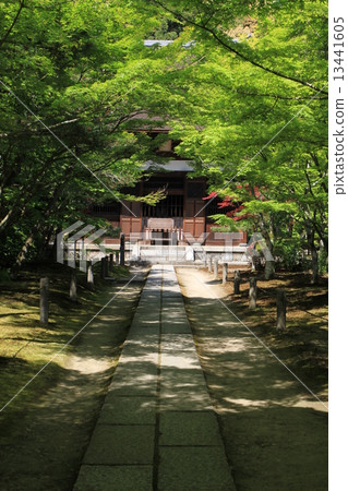 京都府京田邊市一休寺冬季本堂（重要文化財產） 13441605