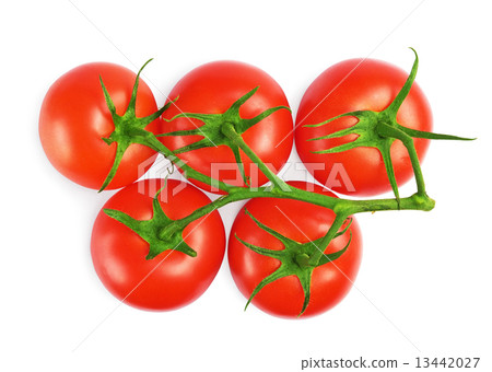 red tomatoes 13442027