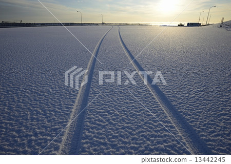 Winter rut Winter rut 13442245