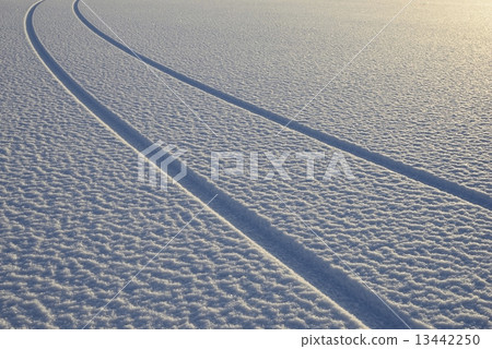 Winter rut 13442250