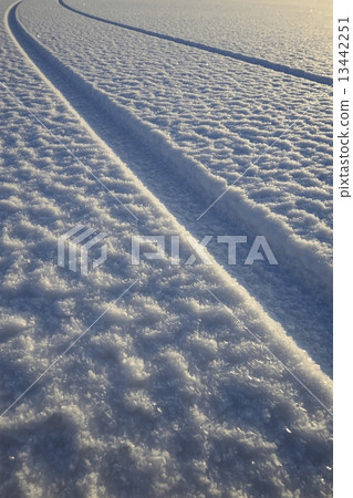 Winter rut 13442251