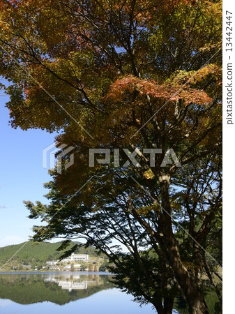 Kotamidake池塘 Kotamidake池塘 13442447