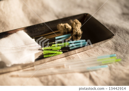 針灸和艾灸 13442914