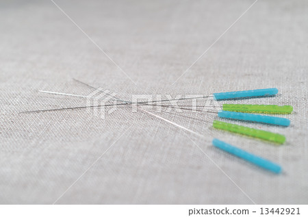 針刺 針刺 13442921