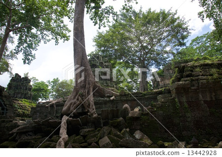 Cambodia Angkor Wattha Prom Cambodia Angkor Wattha Prom 13442928