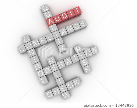 3d image Audit issues concept word cloud background 3d image Audit issues concept word cloud background 13442956