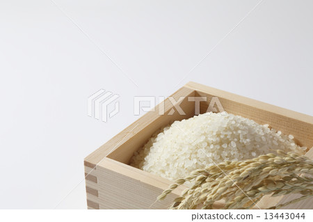 美國飯糰 13443044