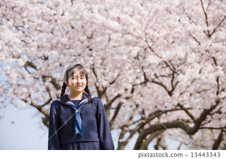 Cherry blossoms with junior high school girls Cherry blossoms with junior high school girls 13443343
