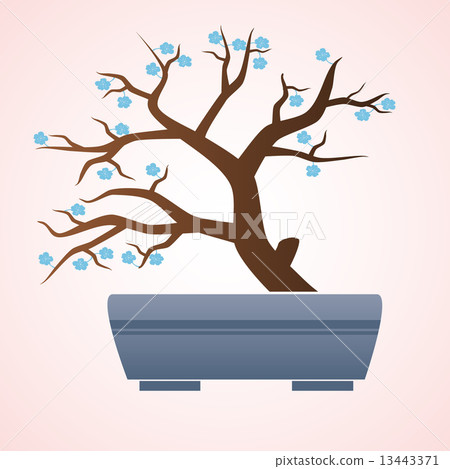 japan or china bonsai small tree in pot eps10 japan or china bonsai small tree in pot eps10 13443371