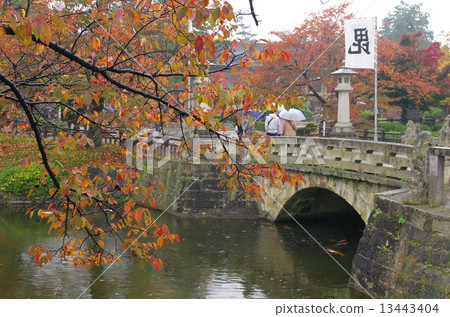 上杉神社舞鶴橋 13443404