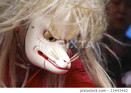 面對一隻狐狸 13443442