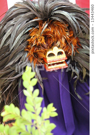 Lion dancing of Ekoda 13443460