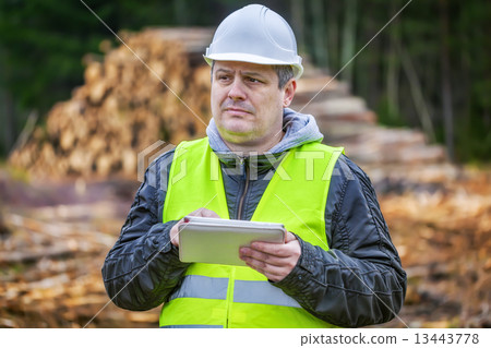 Forest engineer with tablet PC near piles of logs  13443778