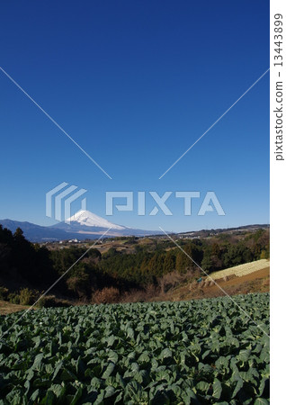 富士山 富士山 13443899