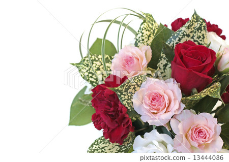 Mother S Day Carnation Flower Roses Bouquet Stock Photo 13444086 Pixta