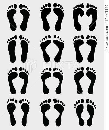 feet 13445342